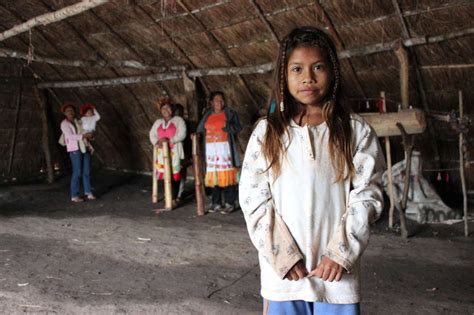 Guarani: Indigenous People of the Amazon - Amazon Aid