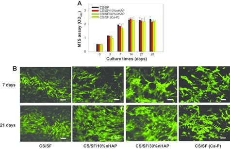 Proliferation A And Livedead Cells Staining B Of HMscs Cultured On