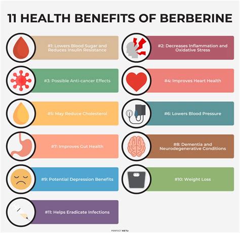 Berberine - Freshine Chem