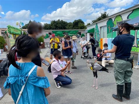 東武動物公園のヘビクイワシが可愛すぎると俺の中で話題に 696684471