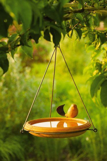 Copper Hanging Bird Bath | Gardener's Supply | Humming bird feeders, Wooden bird houses, Hanging ...