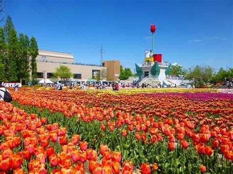 10 Must-See Attractions in Japan's Toyama Prefecture - Tripzilla ...