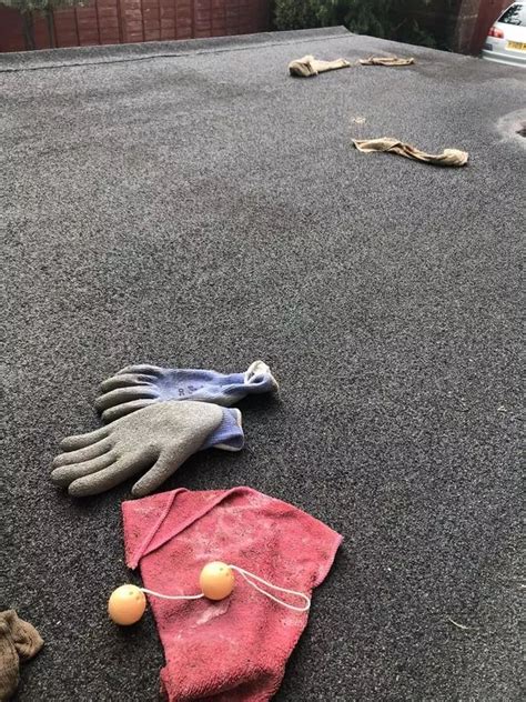 Mum Left Horrified After Cat Comes Home With Anal Beads In Its Mouth Daily Record