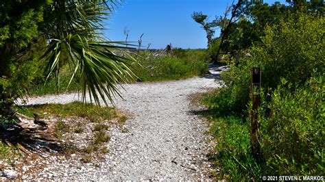 Timucuan Ecological and Historic Preserve | TIMUCUAN TRAIL