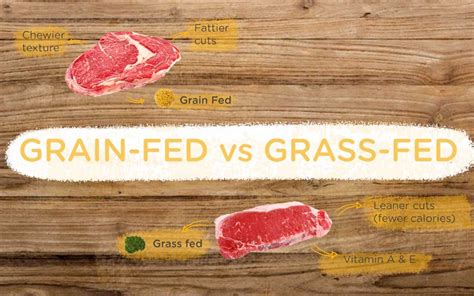 Grass Vs Grain Fed Beef Aw S Market