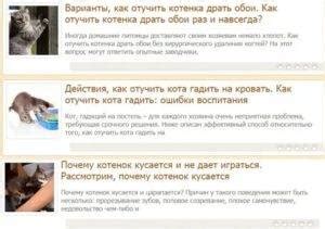 5 причин, почему кошка гадит где попало - что делать