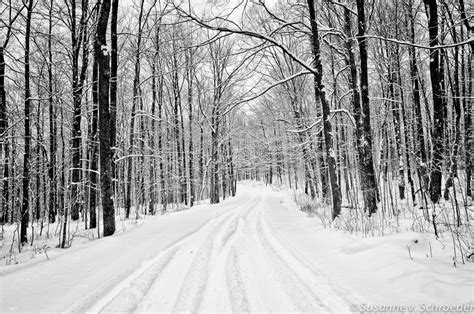 Soul Centered Photography: Black and White Winter Photography