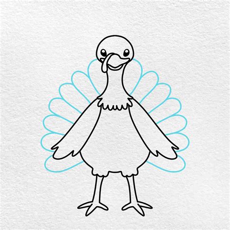 How To Draw A Thanksgiving Turkey Step By Step