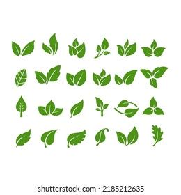 Set Green Leaves Icons Vector Stock Vector Royalty Free 2185212635