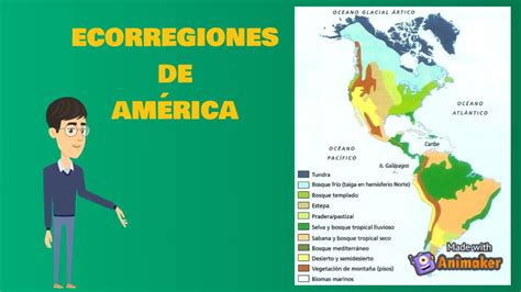 BIOMAS Y ECORREGIONES DE AMÉRICA YouTube