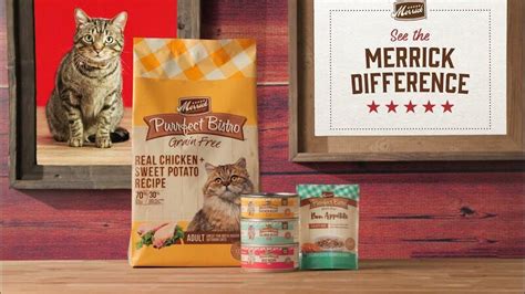 12 Best Cat Food Brands: Keep Health of Your Cats and Kittens - Cherry ...