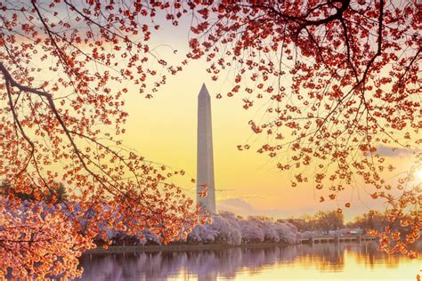 Cosa Vedere A Washington DC Le 17 Migliori Attrazioni E Cose Da Fare