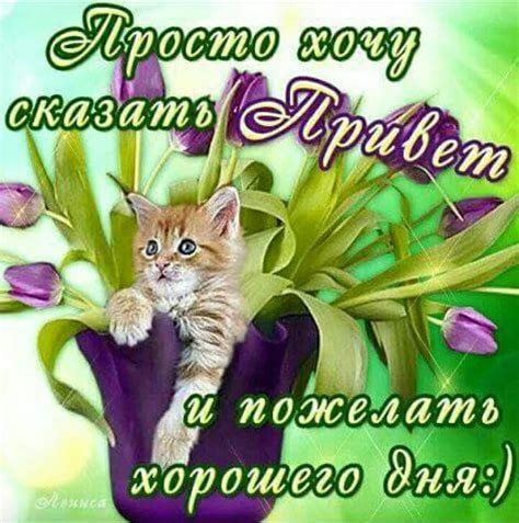 Фотография | Смешные детские картинки, Открытки, Смешные открытки