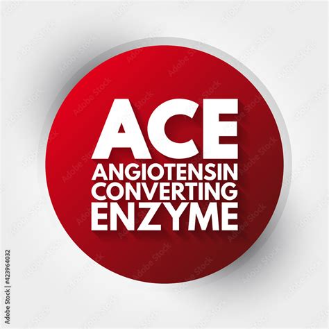 ACE - Angiotensin Converting Enzyme acronym, concept background Stock Vector | Adobe Stock