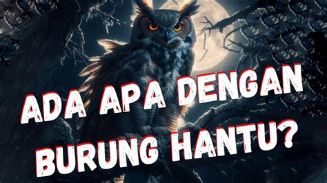 Ada Apa Dengan Burung Ini Sehingga Di Keramatkan Fakta Dan Mitos