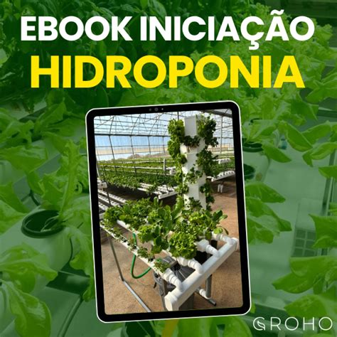 Ebook Inicia O Hidroponia Como Cultivar Sem Terra Groho