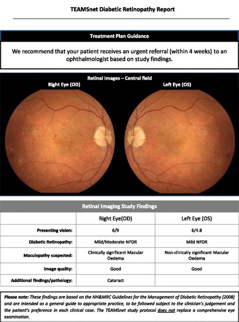 Diabetic Retinopathy Screening Reporting Protocol Download Scientific