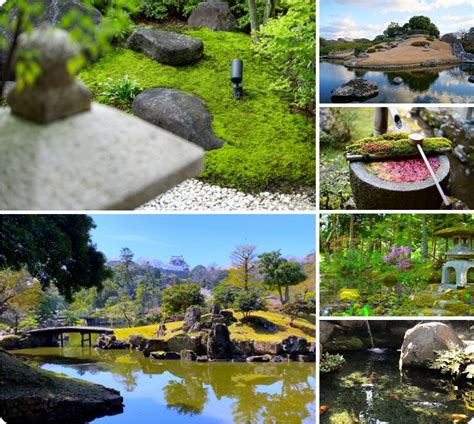 Japan Gardens Zen Koi Ponds Travel Guide Japan Deluxe Tours