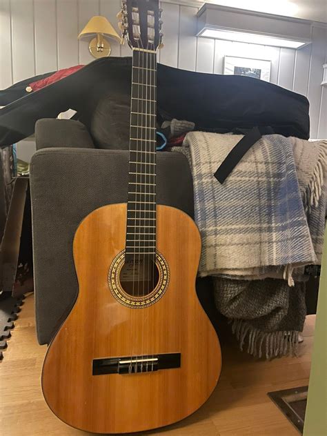 Morgan Gitar Og Gitarveske Sekk Finn Torget