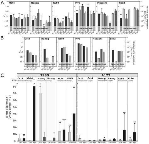 Stem Cell Markers In Glioma Progression And Recurrence