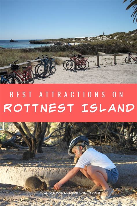 Rottnest Island Attractions for first-time visitors | Western australia travel, Australia travel ...