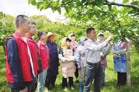 昆山农民合作社“抱团”闯市场 昆山市人民政府