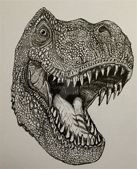 Dinosaur Head Drawing at PaintingValley.com | Explore collection of ...