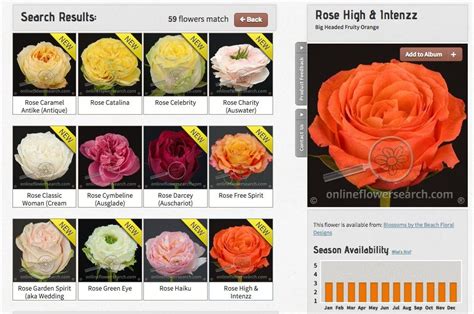 Use Our Flower Library To Explore Thousands Of Types Of Flowers By