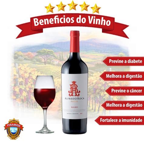 Na Laticinios Piramide Tem Vinho Alfredo Roca Fincas Malbec 100 Puro