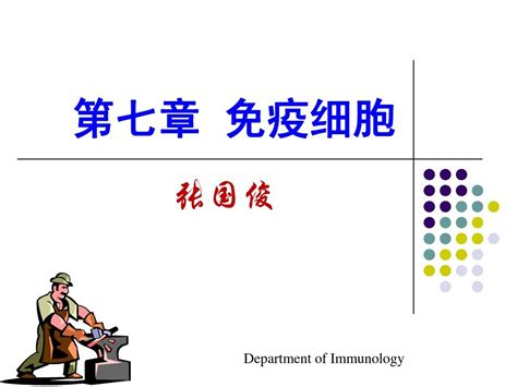 07 免疫细胞word文档在线阅读与下载无忧文档