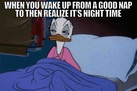 40 Best Nap Memes About Those Mid Day Sleeps