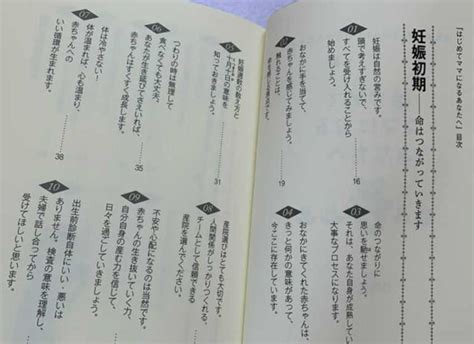 20139 はじめてママになるあなたへ 産科医 つなぎすと 竹内正人