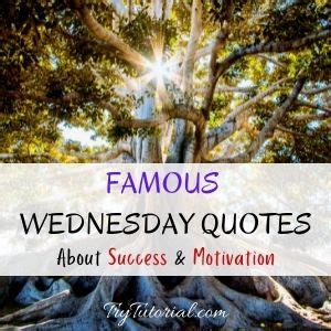 Wednesday Motivational Quotes