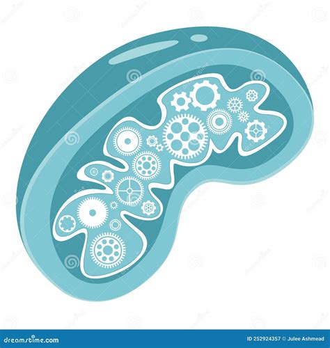 Mitochondria The Powerhouse Of The Cell Cartoon Vector | CartoonDealer ...