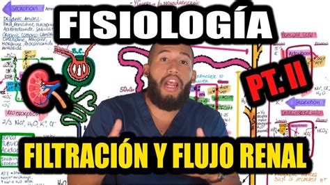 Fisiología Renal Pt II Filtración Glomerular Flujo Sanguíneo Renal