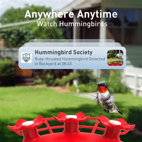 Soliom® Bf10 Smart Hummingbird Feeder Ai Camera Hd Wireless Bird Watc Soliom Solar Home Security