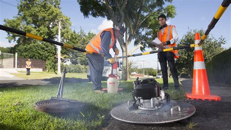 Popular Auckland beaches are likely to have better water quality this