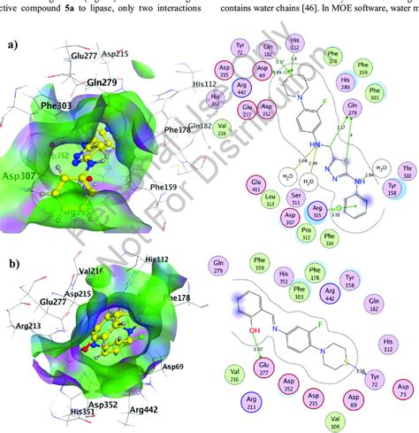 3d And 2d Representation Of Docking Poses 13b A And 5c B In The