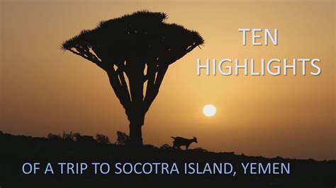 Socotra 10 Unforgettable Sights Of The Mystery Island Youtube