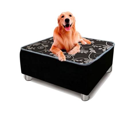 Cama Caminha Box Para Cachorro Gato Grande Porte Luxo Pet DK COLCHÕES