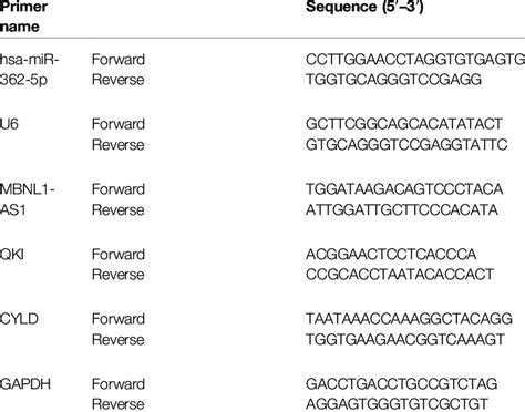 The Primer Sequences Of Qrt Pcr Used In This Study Download