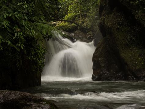 Mindo, Ecuador Travel Guide: Hidden Gem in the Cloud Forest - The Nomad ...