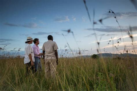 Amboseli Lewa And Masai Mara Safari Safari Trips Ker Downey Africa