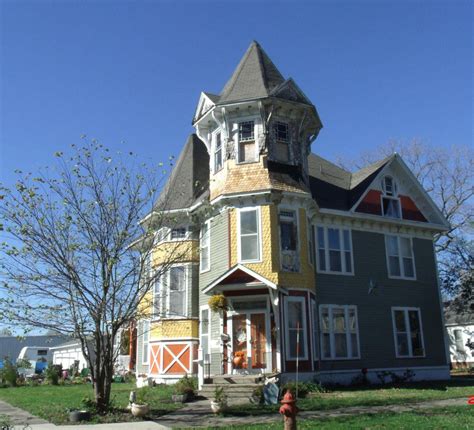 Painted Lady Showing New Colors For Christmas Home And Garden