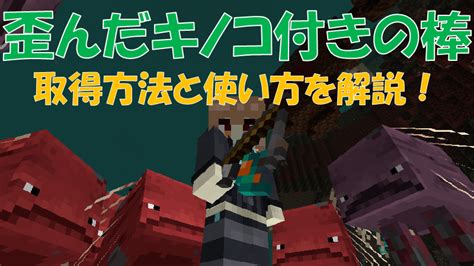 【マイクラ】全16種類の「レコード」の取得方法と使い方！bgmを流そう ビビアンのマイクラ攻略ブログ