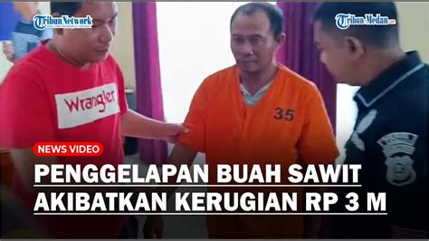 Buronan Polres Langkat Kasus Penggelapan Buah Sawit Akhirnya Ditangkap