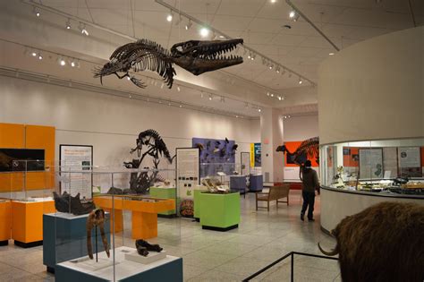 Visit One of These Museums in NJ and NY - NJ Family