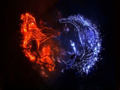 Cool Fire And Ice Dragon Wallpaper - canvas-herpity