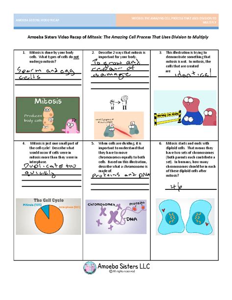 Amoeba Sisters Video Recap Mitosis Vs Meiosis Comparison Ans