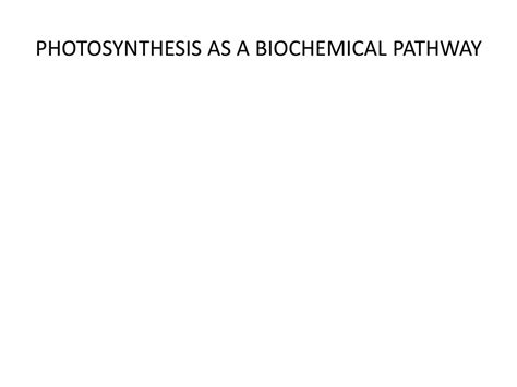 PPT - PHOTOSYNTHESIS Energy and Life PowerPoint Presentation, free ...